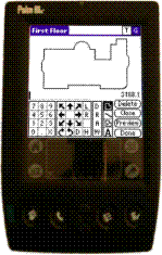 Palm